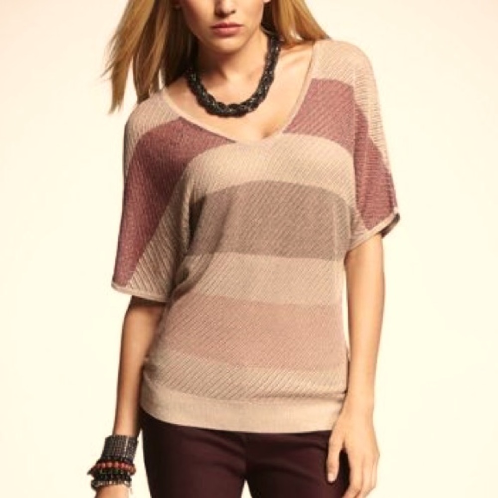 EXPRESS All-Over Lurex Double V-Neck Dolman Knit